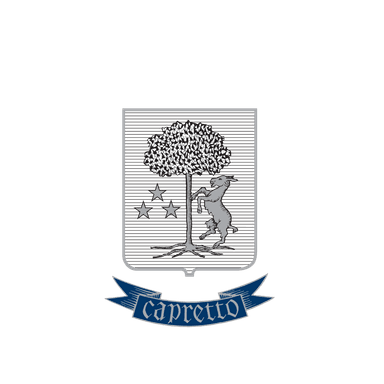 Partner 1